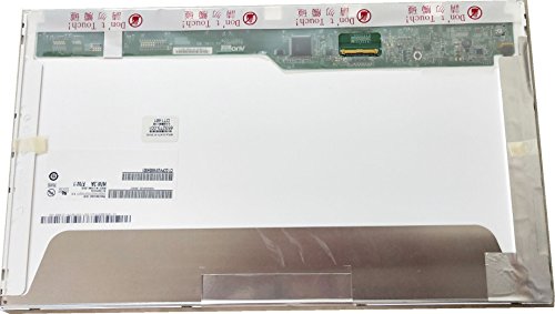 41-bx7w+s7L.jpg